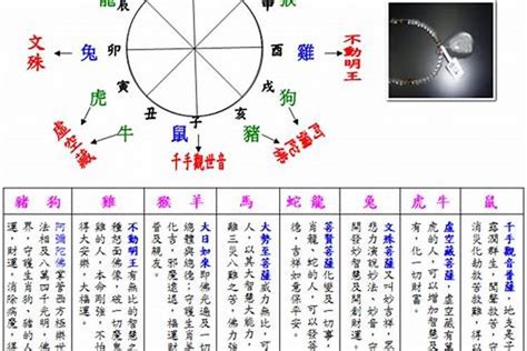 2003年五行|2003年五行属什么？2003年出生是什么命？